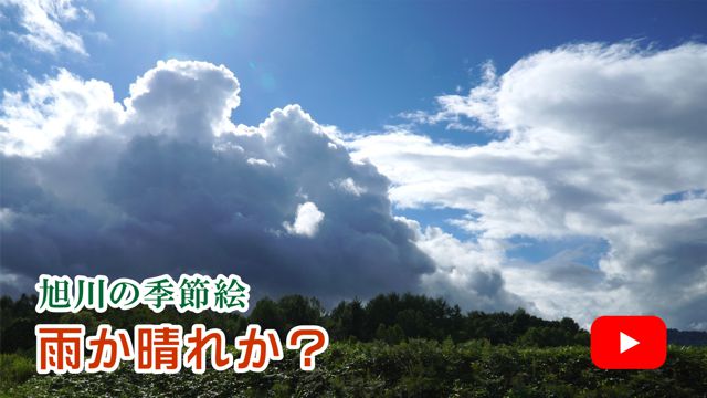 �J�����ꂩ�H