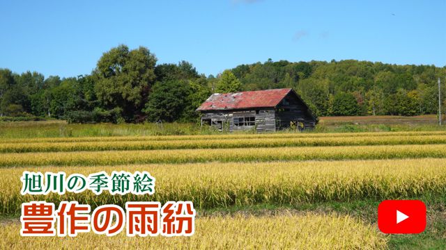 �L��̉J��