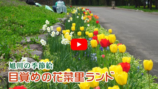 �ڊo�߂̉ԍؗ������h