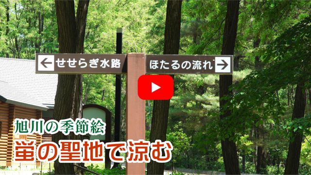 �u�̐��n�ŗ���