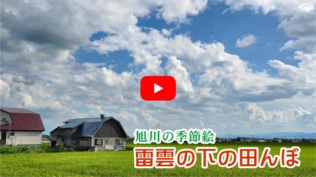 ���_�̉��̓c���