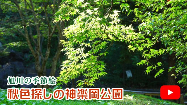 �H�F�T���̐_�y������