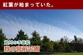 旭川の季節絵