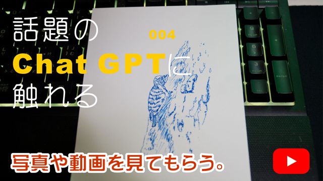 �ʐ^�⓮������Ă��炤�B