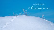 A freezing winter day in Hokkaido.