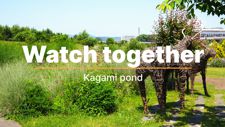 Watch together