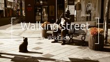 Walking street