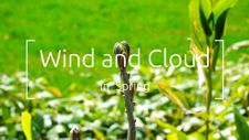 Wind and Cloud