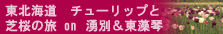 東北海道　チューリップと芝桜の旅　湧別と東藻琴