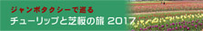 チューリップと芝桜の旅