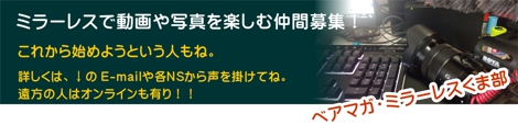 ベアマガ・ミラーレスくま部