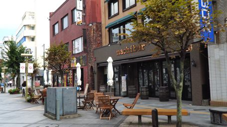 �I�V�����ȊX����