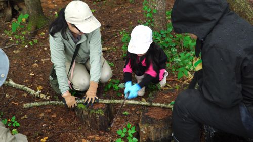 �y�������