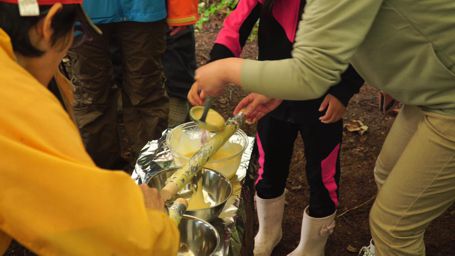 �o�E���N�[�w�����