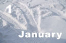 1 January