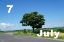 7 July