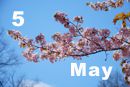 5 May