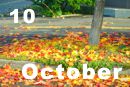 10 October