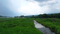 瑠辺蘂川と二俣川を歩きます。