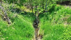 ���l�g�t��