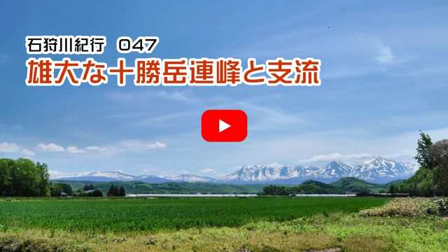 ���l�g�t��