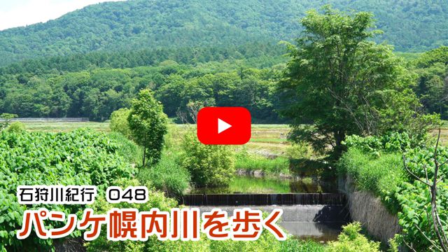 �p���P�y��������