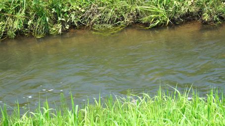 ���ꂢ�ȗ���