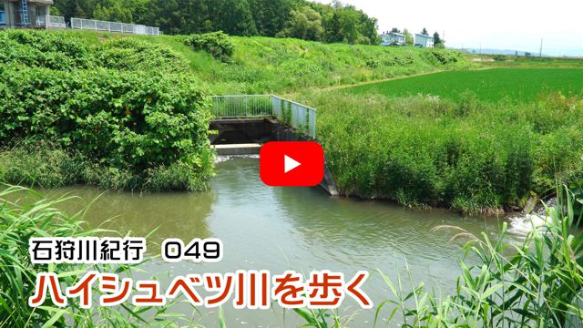 �n�C�V���x�c������