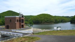 �����_��