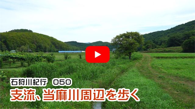 �x���A��������ӂ����