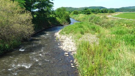 ����ɗ����