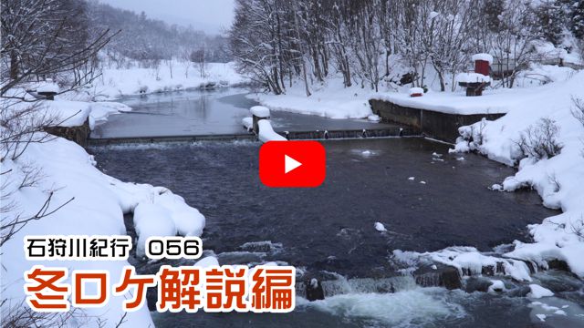 �~���P�����