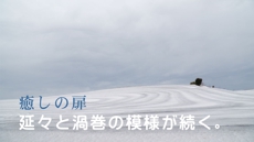 癒しの扉