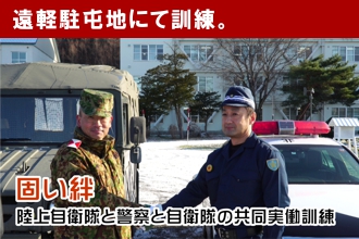 活躍する自衛隊
