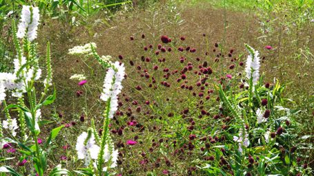 �����Ԃ���