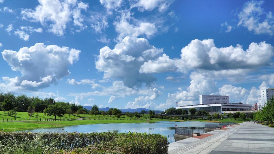 �A�[�g�ȋ�