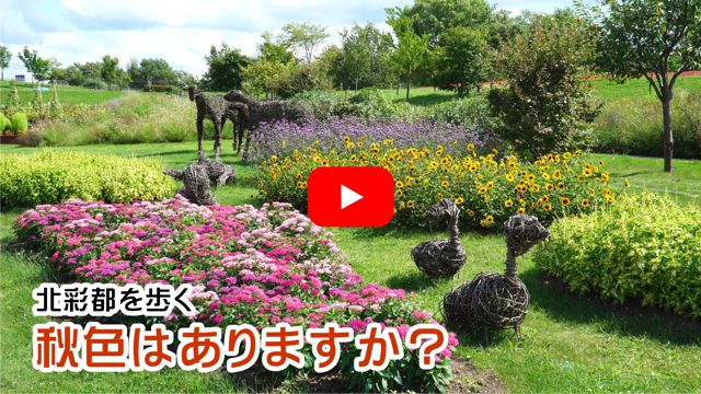 �H�F�͂���܂����H