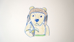 ���������o�i�i