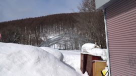 �r�j�[���n�E�X