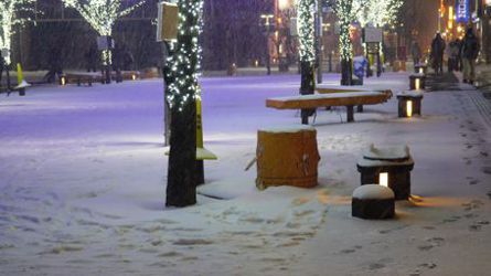 ��ɏƂ炳���