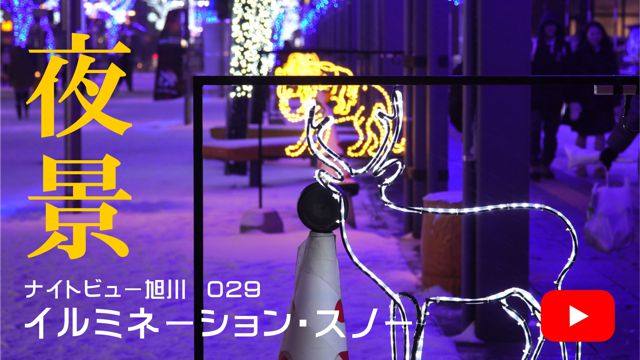 �C���~�l�[�V�����E�X�m�[