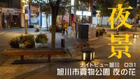 ナイトビュー旭川