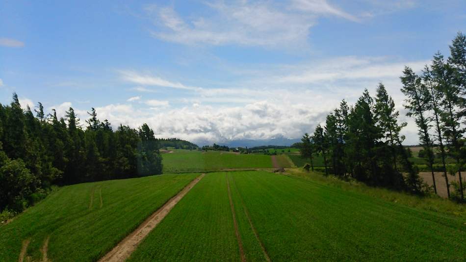ペンションからの眺め