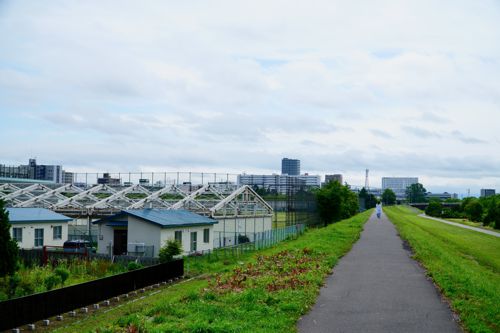 すれ違う人