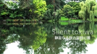 Silent tokiwa