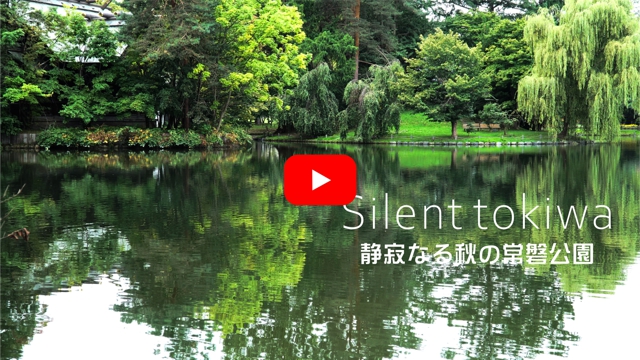 Silent tokiwa