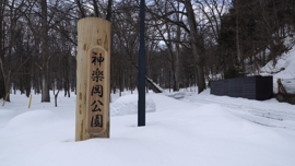 神楽岡公園