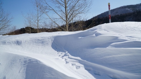 �����̑���