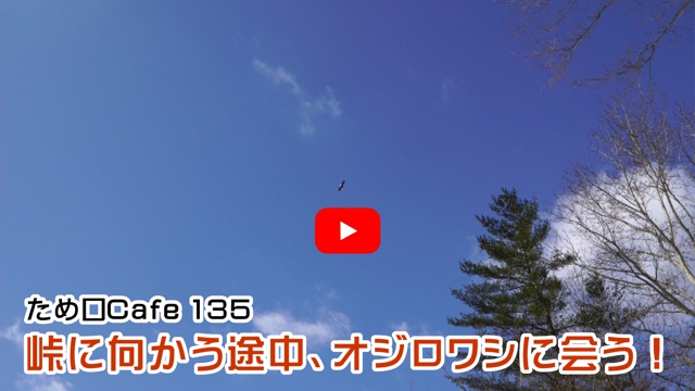 �I�W�����V�ɉ