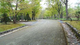 神楽岡公園